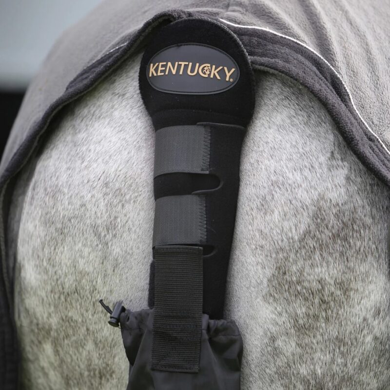 пометила Нахвісник з чохлом від Kentucky