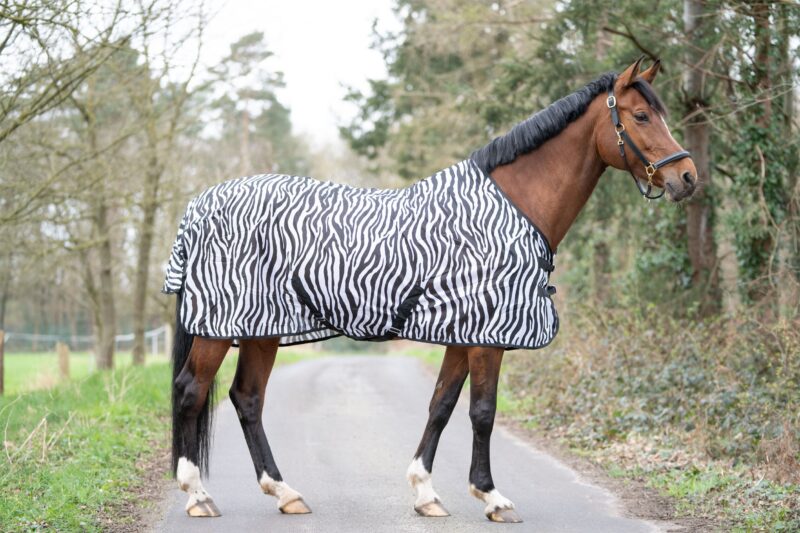 Попона антимоскітна Zebra від HKM