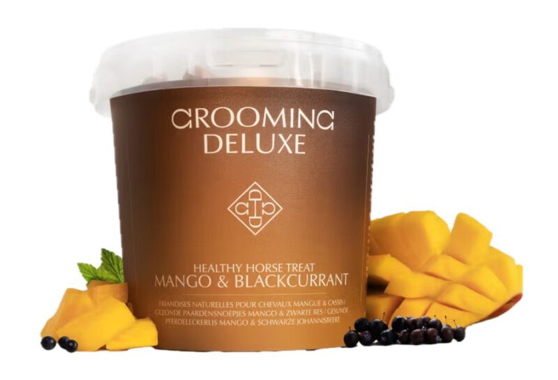 Ласощі Healthy Mango & Blackcurrant від Kentucky, 500 г