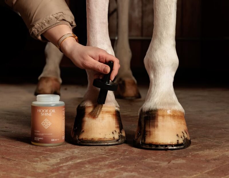 Олія для копит GD Hoof Oil Shine від Kentucky, 500 мл