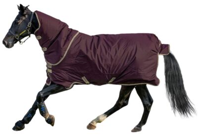 Попона прогулянкова з капором Amigo Hero Ripstop Plus Turnout Light 0 г від Horseware